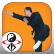 Ikona programu: Shaolin Kung Fu Fundament…