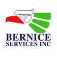 프로그램 아이콘: Bernice Car Service