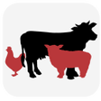 Icon of program: Satılık Hayvanım