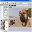 Icon of program: AVD Video Processor