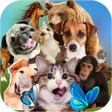 程序图标：Animal Sticker - WASticke…