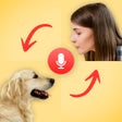 ไอคอนของโปรแกรม: Dog Translator App