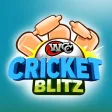 WCC Cricket Blitz