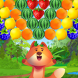 程序图标：Bubble Fruit Shooter