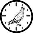 プログラムのアイコン：Pigeon Velocity Calculato…