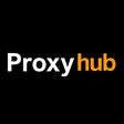 程序图标：ProxyHub