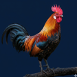 程序图标：Red junglefowl