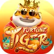 Fortune Tiger Jogo PG 777