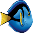 Programın simgesi: DORy