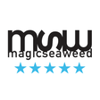 程序图标：MSW Surf Forecast