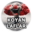 プログラムのアイコン：Koyan Laflar