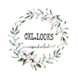 程序图标：CKL.LOOKS