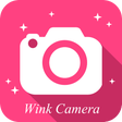 Programikonen: Wink Camera
