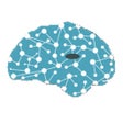 أيقونة البرنامج: Thalamus