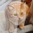 Programikonen: Tracing Paper Draw  Paint
