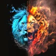 أيقونة البرنامج: Wallpapers for Samsung Ga…