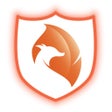 Programikonen: La VPN