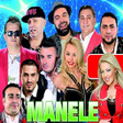 Programikonen: Manele de petrecere si vo…