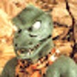 程序图标：National to Reptile