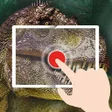 程序图标：TapADot-Dinosaurs