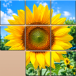 Icoon van programma: BlockPics Jigsaw Puzzle