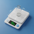 Programikonen: Scale for Measurement  Gr…