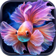 Icon of program: Colorful Fish Wallpaper T…