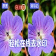 프로그램 아이콘: 在线去水印