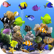 Иконка программы: Aquarium Video Live Wallp…