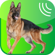 Dog Whistle, Trainer 2019 icon