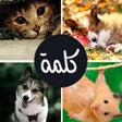 Icoon van programma: اربع صور كلمة واحدة