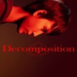 Programikonen: Decomposition