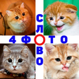 Programikonen: 4 Фото 1 Слово. Где логик…