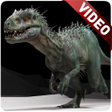 程序图标：Dinosaur Video Wallpaper