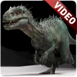 Dinosaur Video Wallpaper
