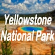 Ícone do programa: Yellowstone-National-Park