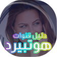 Programikonen: هوتبيرد دليل 2020