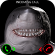 Programikonen: Great White Shark Prank C…