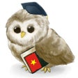 Programikonen: MTL Learn Vietnamese