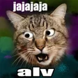 程序图标：MEMES DIVERTIDOS