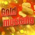 Gold mustang