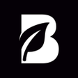 程序图标：B Life
