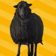 Icono de programa: BBH
