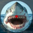 ไอคอนของโปรแกรม: Angry White Shark Hunting…