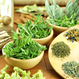 Programikonen: Herbs and Use (Offline)