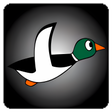 Icono de programa: Duck Hunt