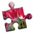 Icoon van programma: Blooming Flowers Puzzle