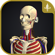 Icon of program: 3D motion anatomy teamLab…