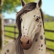 프로그램 아이콘: Horse Hotel - care for ho…