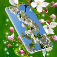 Symbol des Programms: Cherry Blossom Live Wallp…